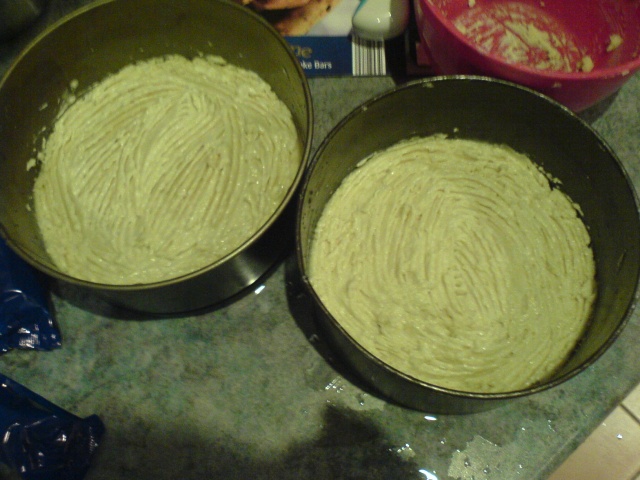 Cake mix in pans